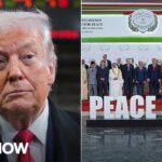 Trump’s Bold Peace Charter Shakes Global Alliances 'Crazytown': Trump invites world leaders to join his Board of