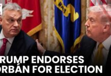 Trump ENDORSES Controversial Leader — EU Explodes! Trump ENDORSES Controversial Leader — EU Explodes