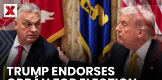 Trump ENDORSES Controversial Leader — EU Explodes