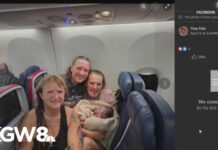 Shoelace Birth Stuns Delta Airline Cabin Baby born on Delta flight before emergency landing in Portland