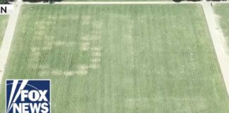 '86 47' VANDALIZED on grass at National Mall