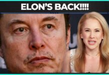 Elon’s Midterm Machine Activates Elon Musk Announces Return To Politics!!!