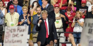 politician on stage at a rally raising a fist amid cheering crowd