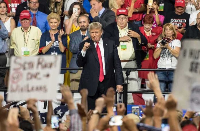 shutterstock_1147142282 politician on stage at a rally raising a fist amid cheering crowd