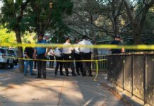 Two Bodies, One Morning — What Happened? Police officers gather behind yellow tape on a tree-lined sidewalk
