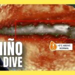 Global Thermostat Twisted—What Breaks First? El Niño deep dive: Why is this event so significant in 2026? | #elniño