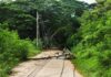 Nationwide Blackout Freezes Cuba Cold Fallen utility pole blocking a rural road