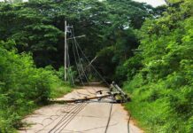 Nationwide Blackout Freezes Cuba Cold Fallen utility pole blocking a rural road